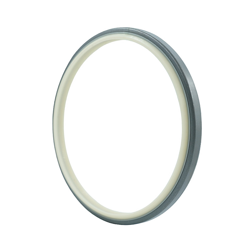 DKBI-Hydraulic-Seals---Dust-seals