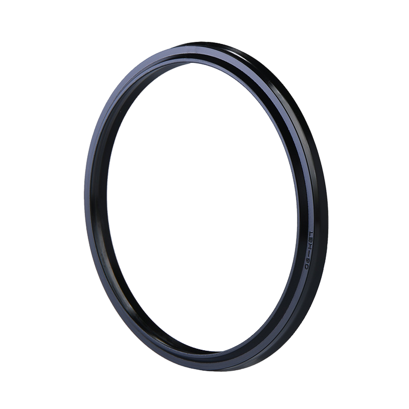LBH Hydraulic Seals - Dust seals